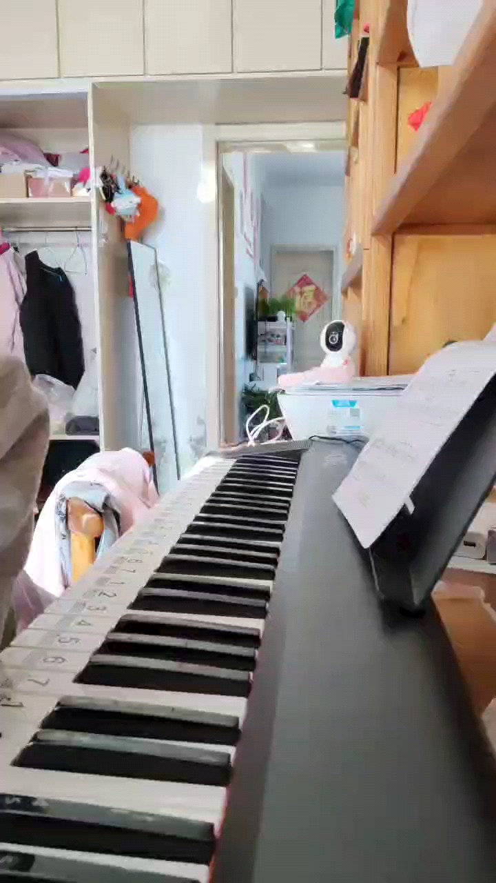 你们有没有开通vip会员的请帮我发一下咨询托卡塔的琴谱呗我没有开通会员就只会这一点点