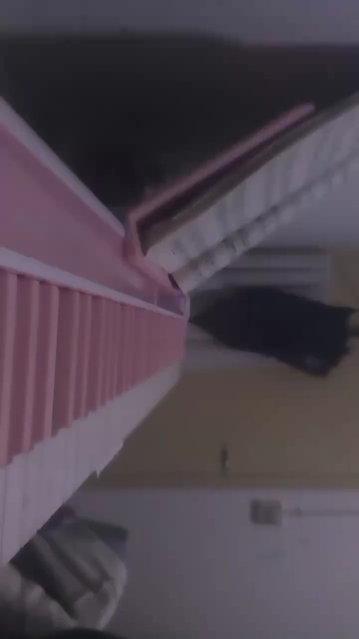 只是一小段，不喜勿喷