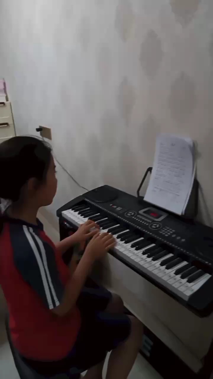 业余，单纯好奇，并且觉得软件里的人弹的很好