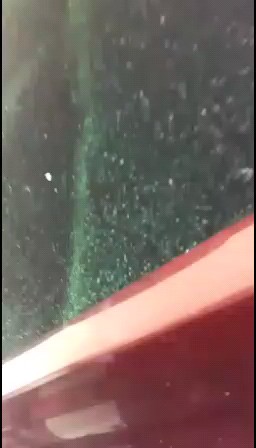 不为谁而作的歌。