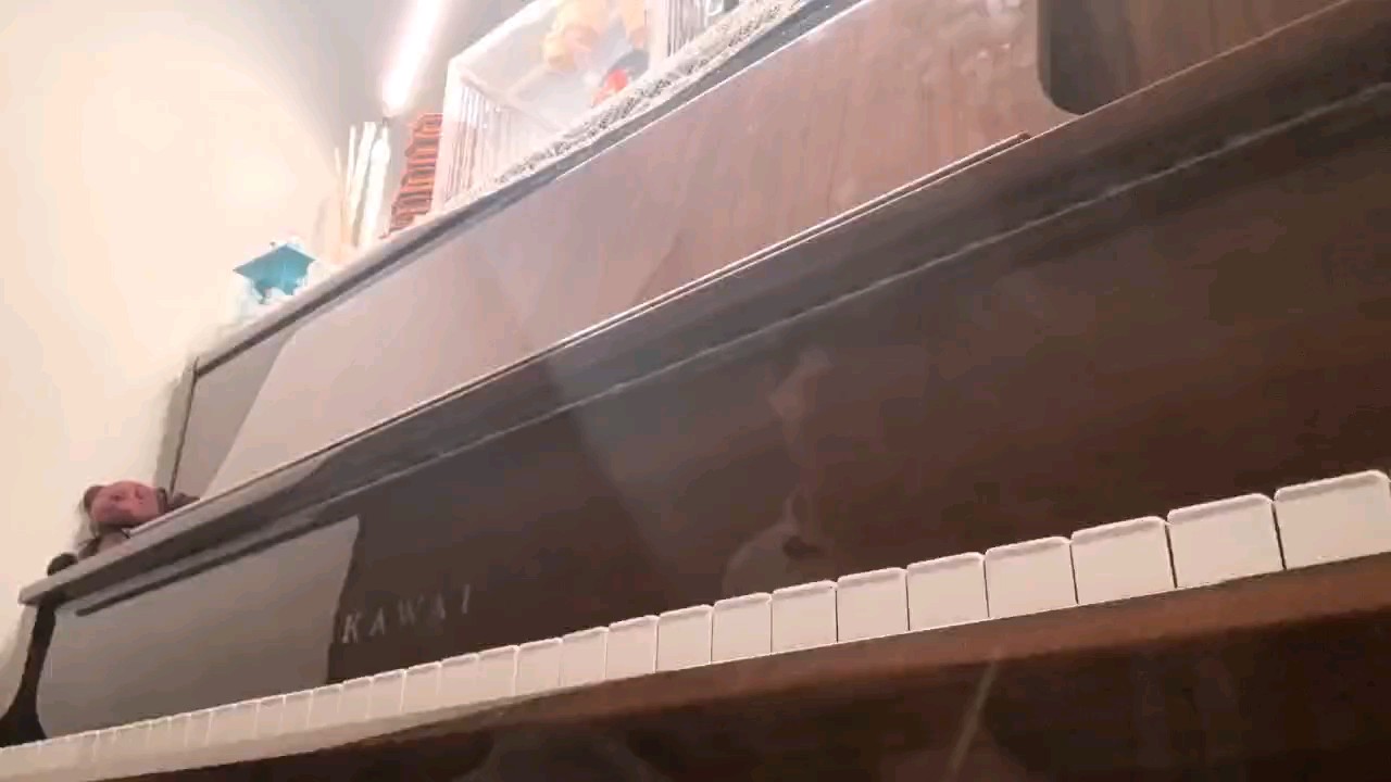 钢铁洪流进行曲耶，依旧录的比练的烂