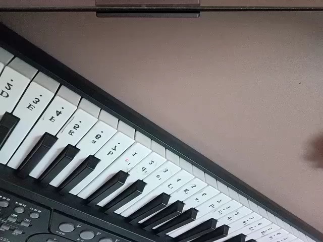 自学电子琴弹的不好，请理解