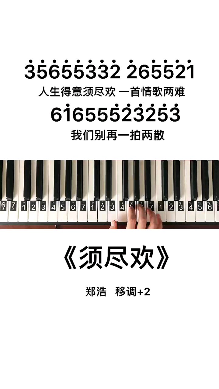 《须尽欢》钢琴简谱教程