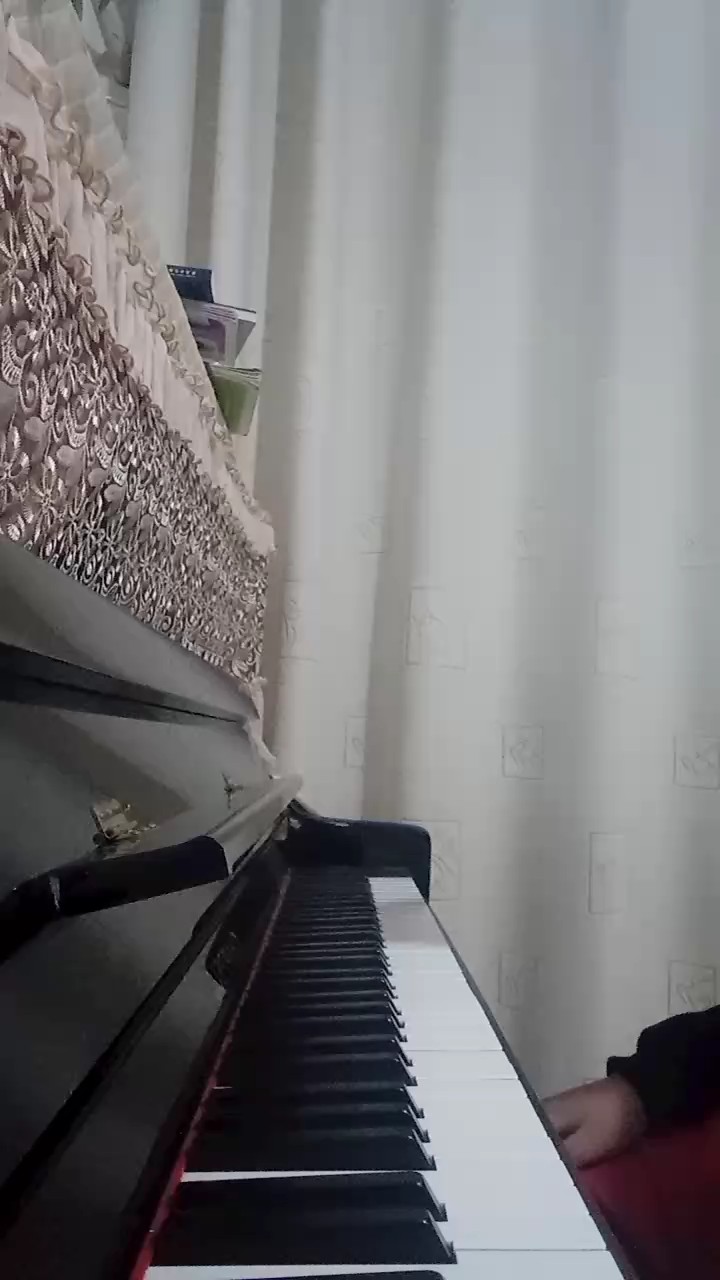 里面有一些指法不對，請諒解