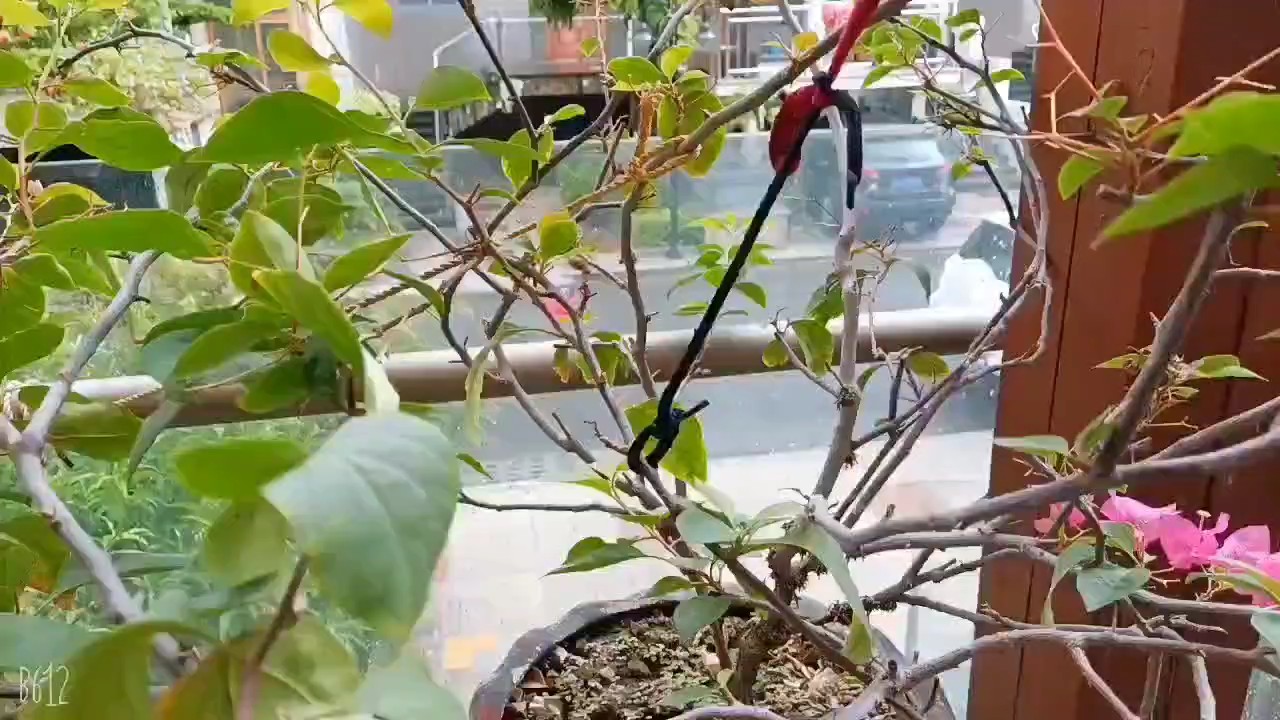 童年的纸飞机，现在又飞回我手里。