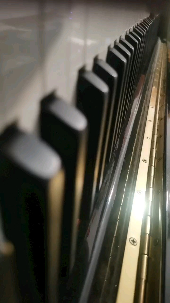 卡农