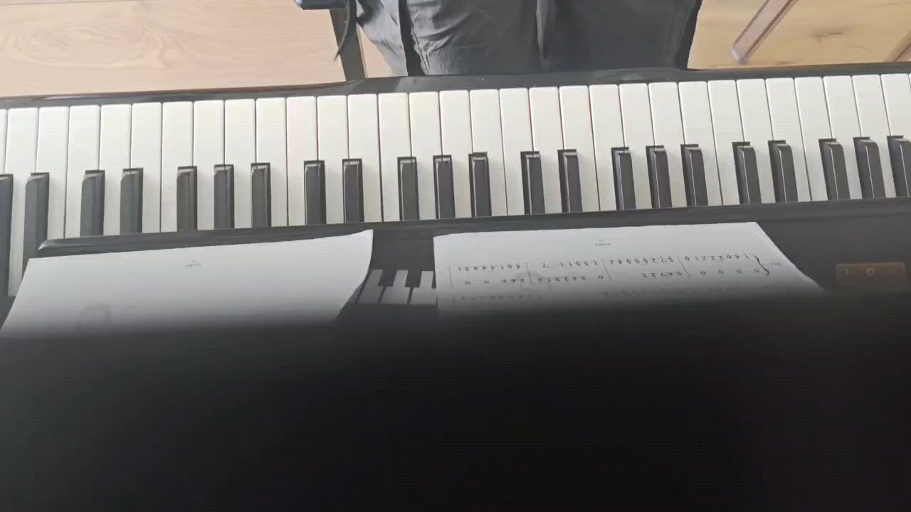 初学者 记录练琴日常