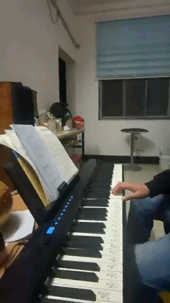 0基础自学，快一年了，这首算是小有所获，虽然还错了好几个地方，不过算是基本没有大的卡顿弹完 ，录了十几遍了😓，一点没剪。学完小汤123就直接弹喜欢的曲子了，基础训练真的太枯燥了，反正我只是练着自己高兴而已。