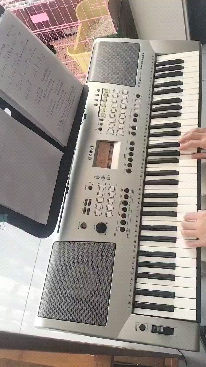 带低音柱式和弦及转位