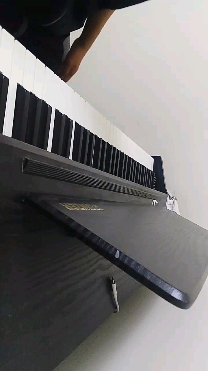 一首湖上天鹅送给大家。麻烦点个赞，谢谢。🌷🌷💐