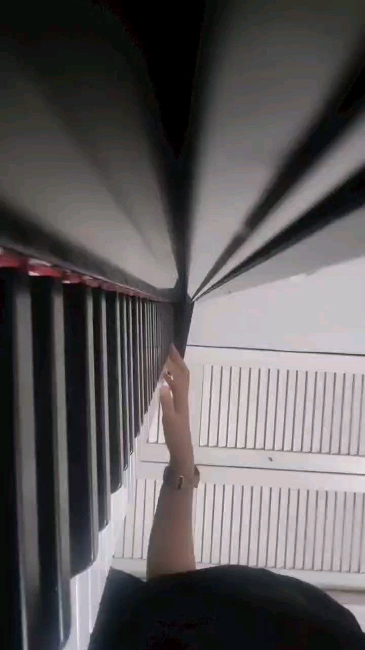 梦中的婚礼。