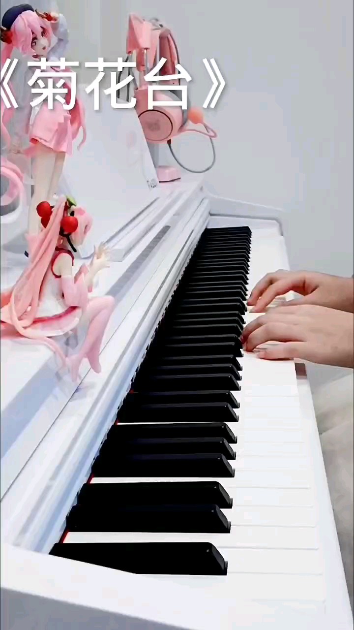 喵  刚学钢琴