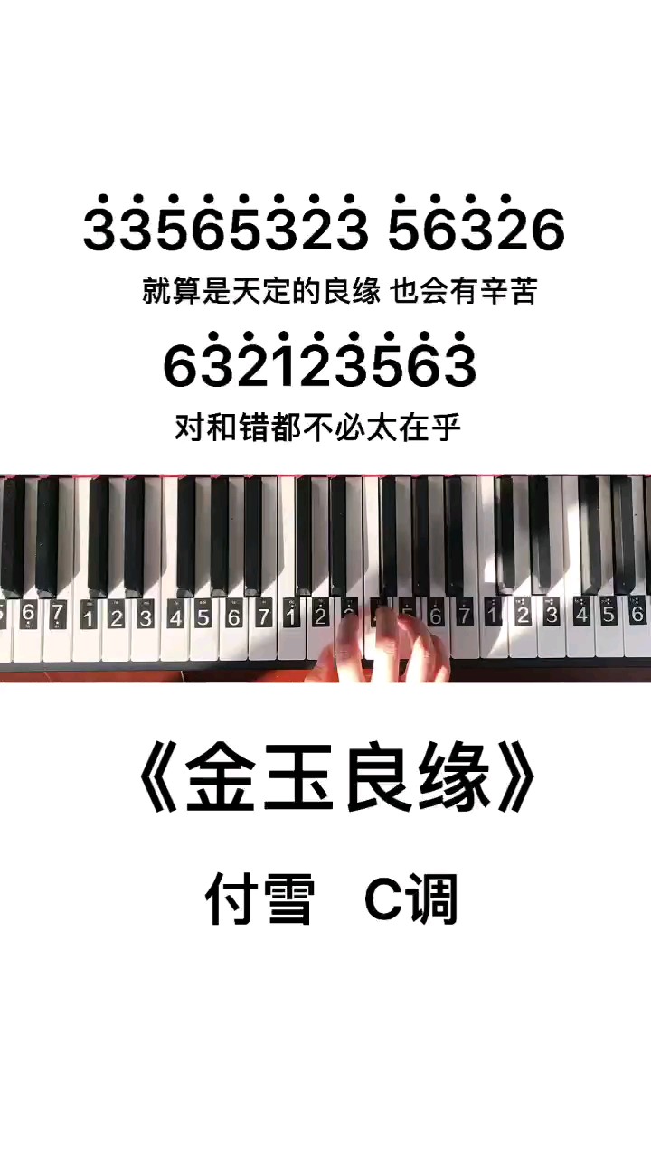 《金玉良缘》钢琴简谱教程
