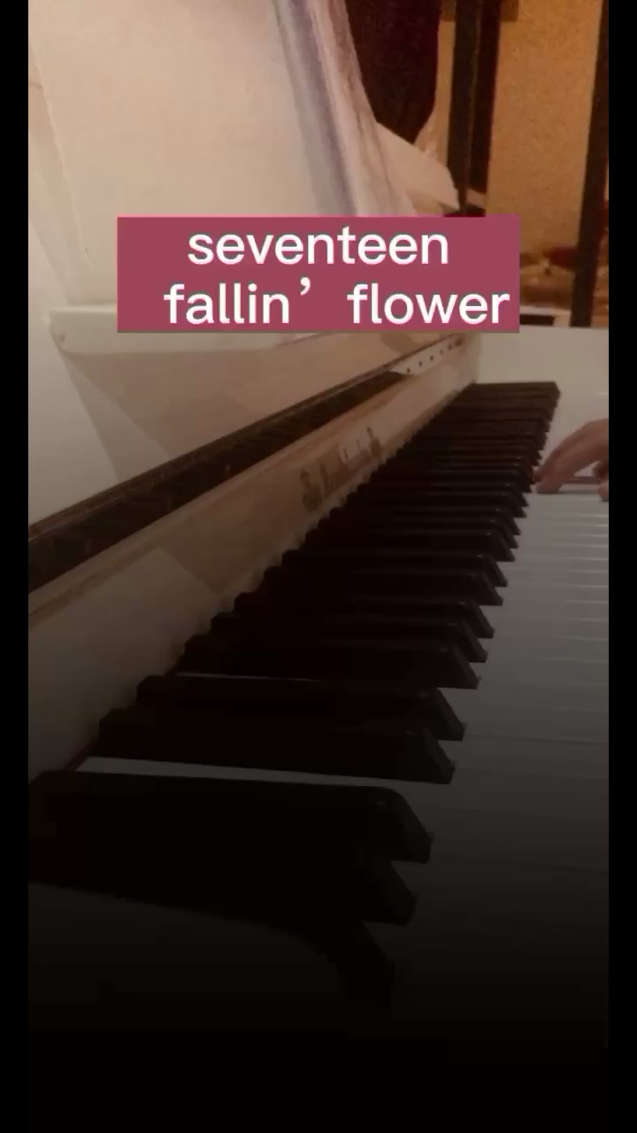 fallinflower舞い落ちる花びら