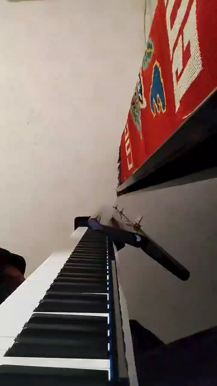 这首曲子好久没弹了，忘了一点，谈错了就这样吧，下次再发一个希望大家给我一点鼓励，勿喷！！！谢谢大家配合！