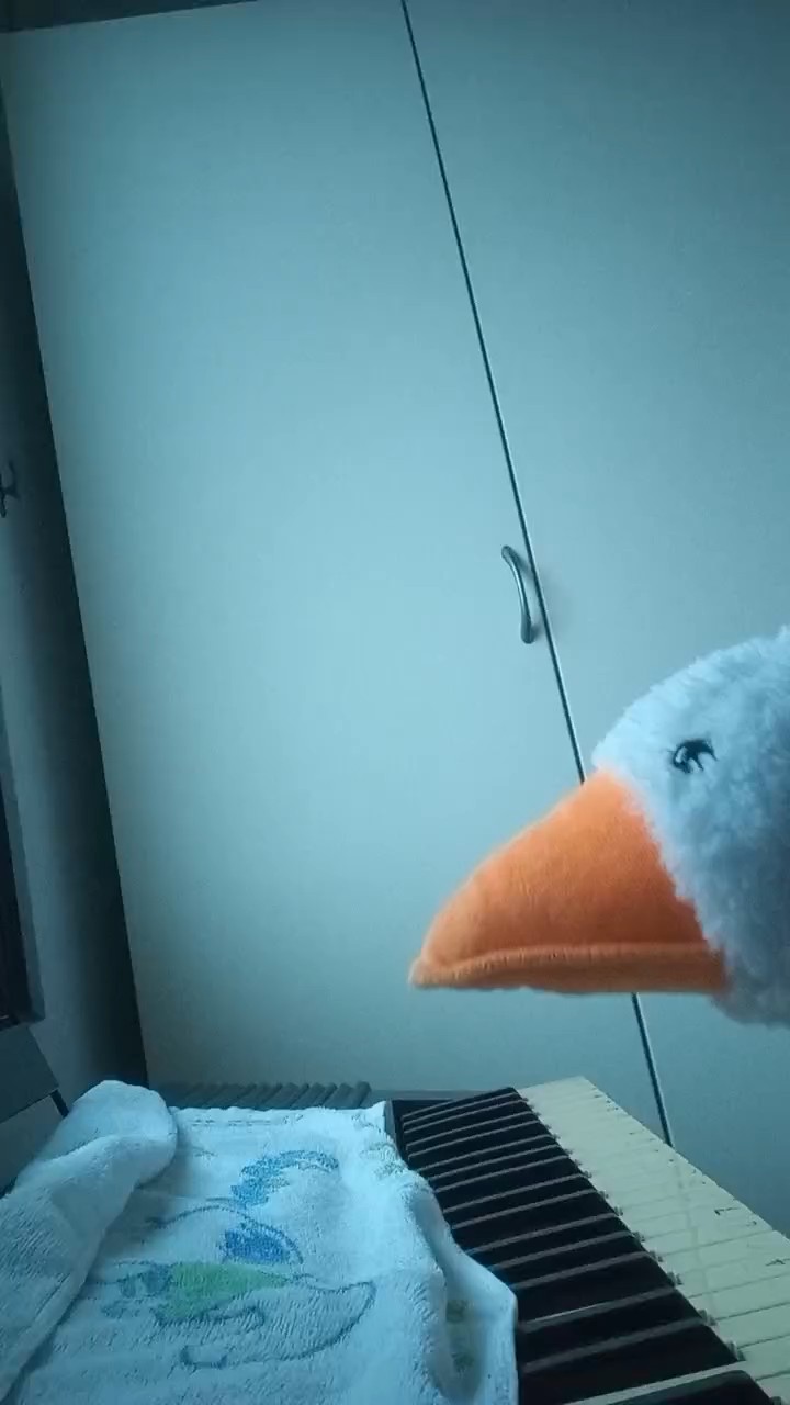 我家一只大白鹅偷弹了我家一大琴。🏵️😁