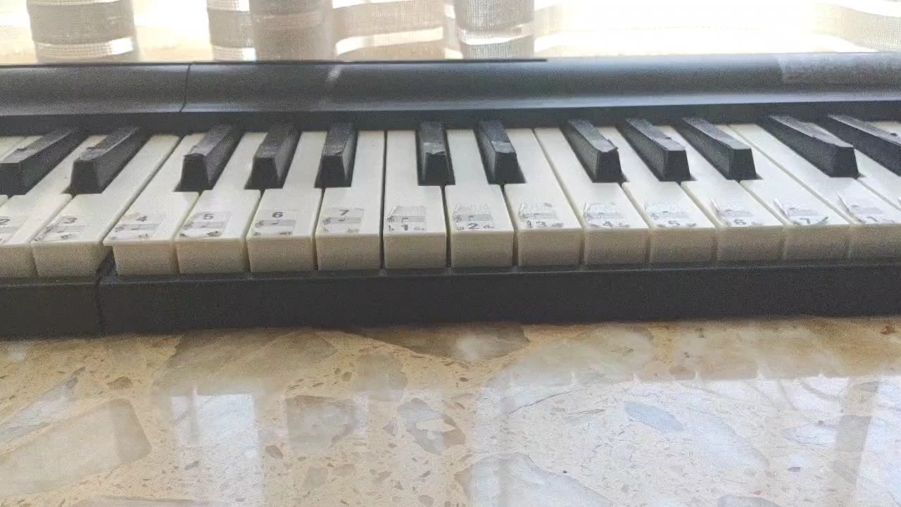 小布舞曲精简前半段右手弹奏 特伦斯电钢琴