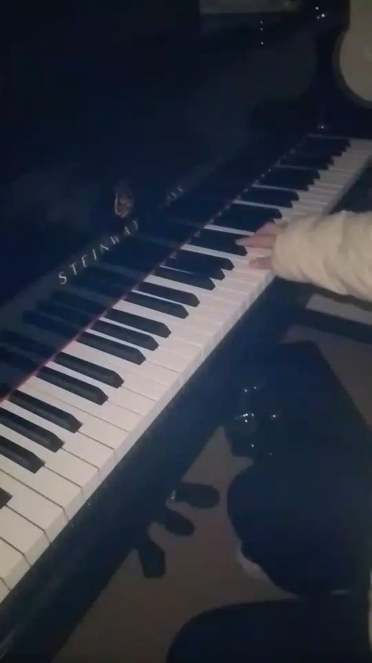 于黑白琴键间，奏响少年的无畏与热烈，那是独属于他们的撒野时光。 
​
当钢琴声起，仿佛踏入了《撒野》的世界，在旋律里感受彼此救赎的力量。 
​
听这钢琴同人曲，似见蒋丞与顾飞在光里并肩，共赴那滚烫的未来。 
​