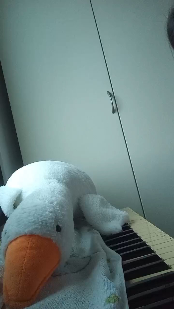 不是很好，请体量。😔初学者只弹了前面几段。你们都是高手，我会多学习学习。🌹🌹🌷