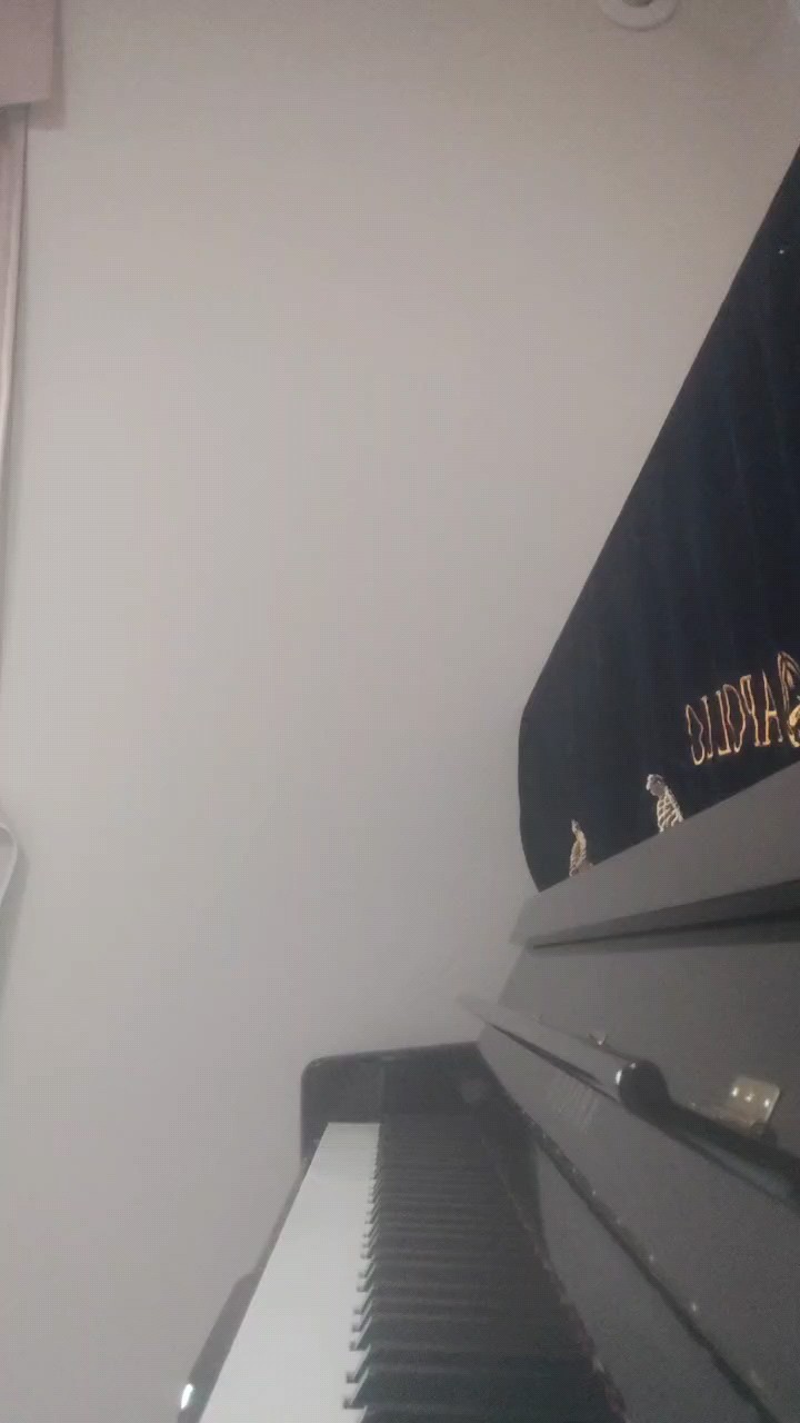 指法有点小问题，有其他问题请大家批评指出，谢谢。
