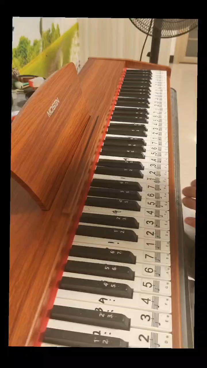 部分演奏     不是全曲