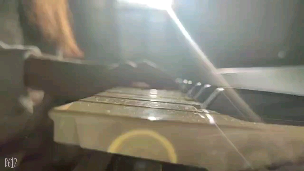 我想在你眼里撒野奔跑，我想一个眼神就到老。