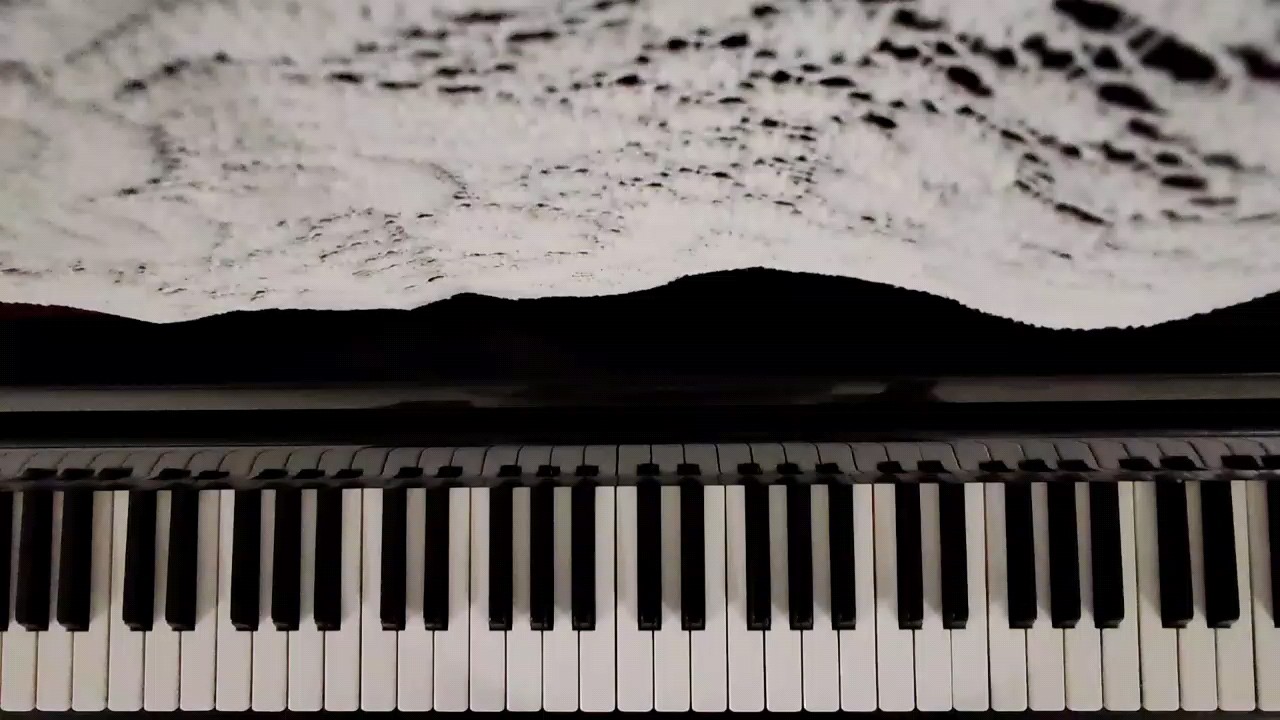 听了五年的曲子