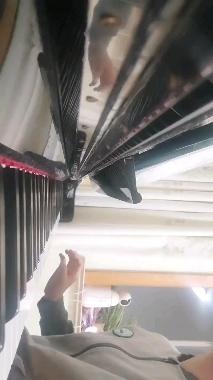 有些不熟，左手自己配的