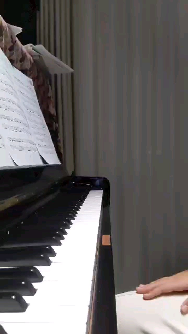 音有些杂，有一些地方弹错了😭😭，如果有人想提建议，那么欢迎在评论区留言