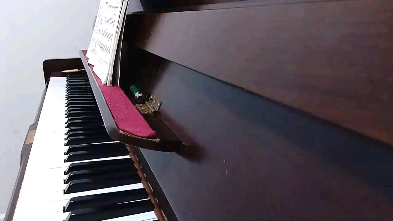 大佬们点个赞，再送朵花吧，再给点建议吧！！！