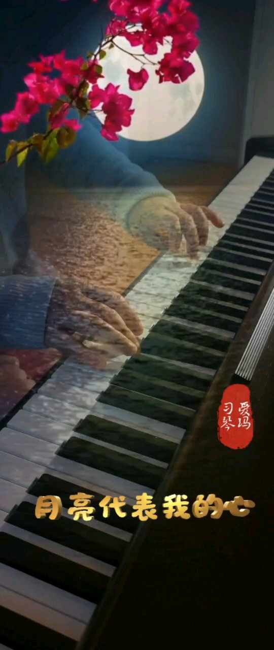 小时候好羡慕那些会弹钢琴人，退休了开始学琴吧！