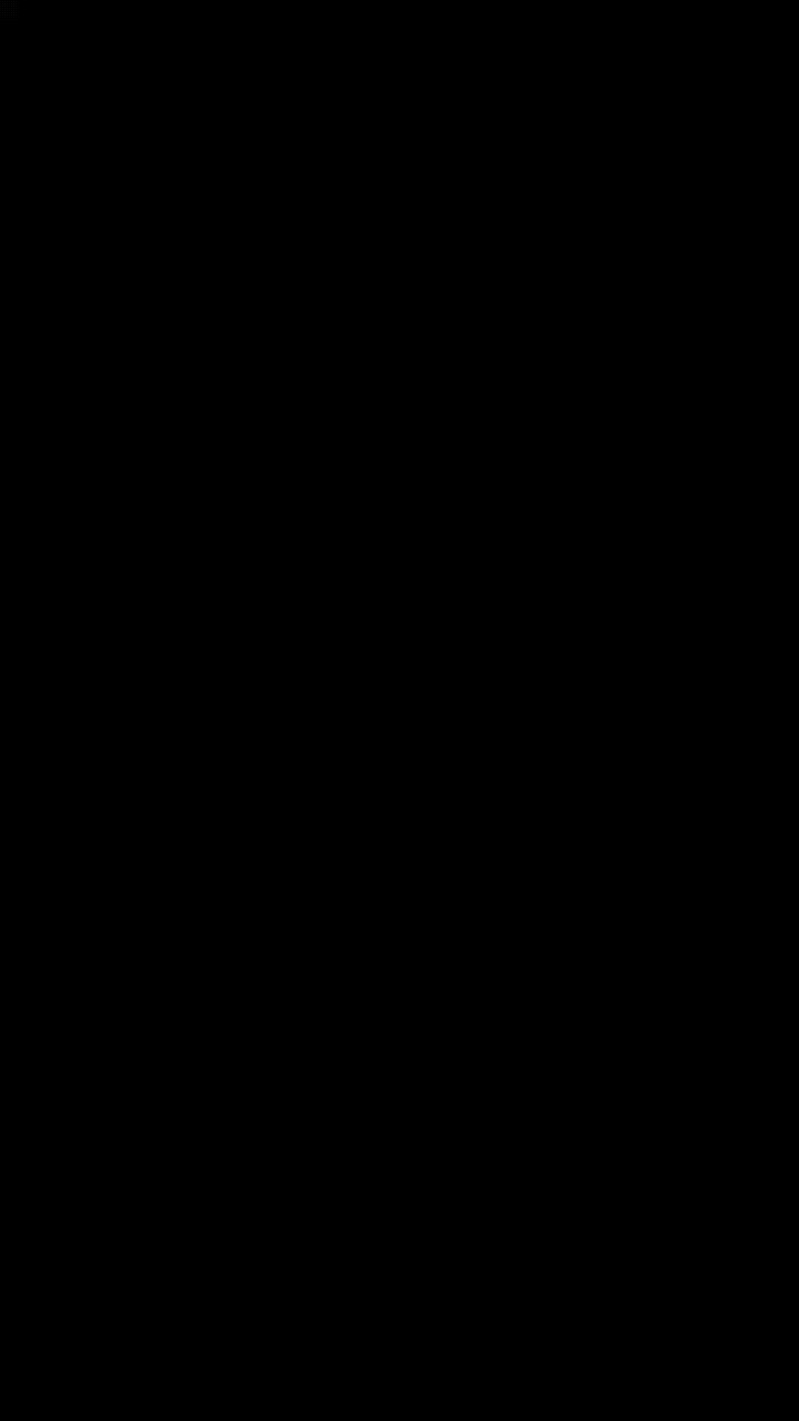 第二个视频