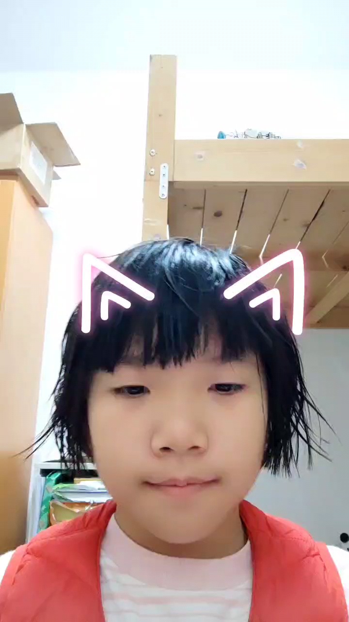dgdhfjcdd