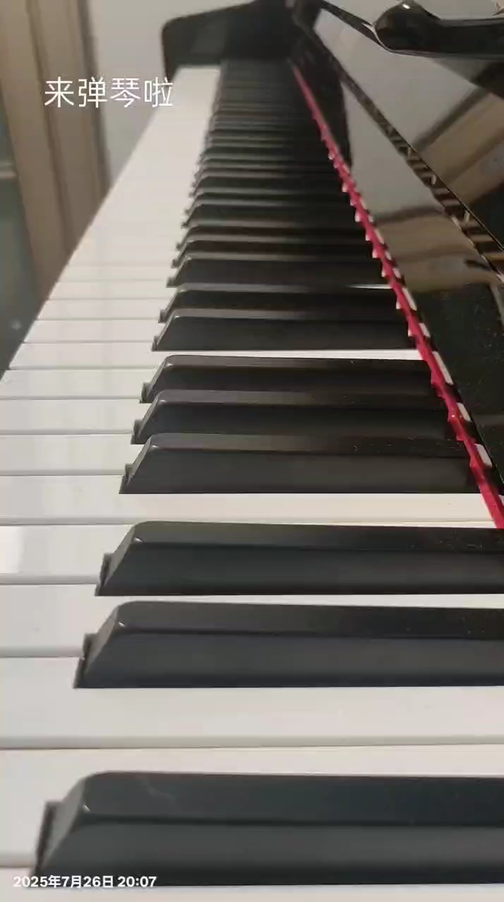 白鸽乌鸦相爱的戏码