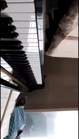 永远的拜败类