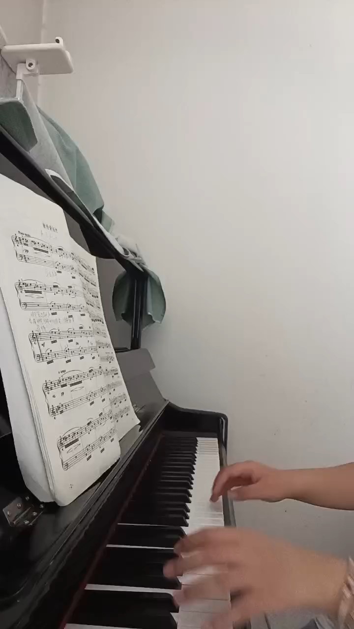 虫钢音质堪忧