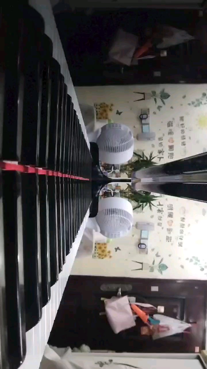 午夜狂想曲。不喜勿喷。