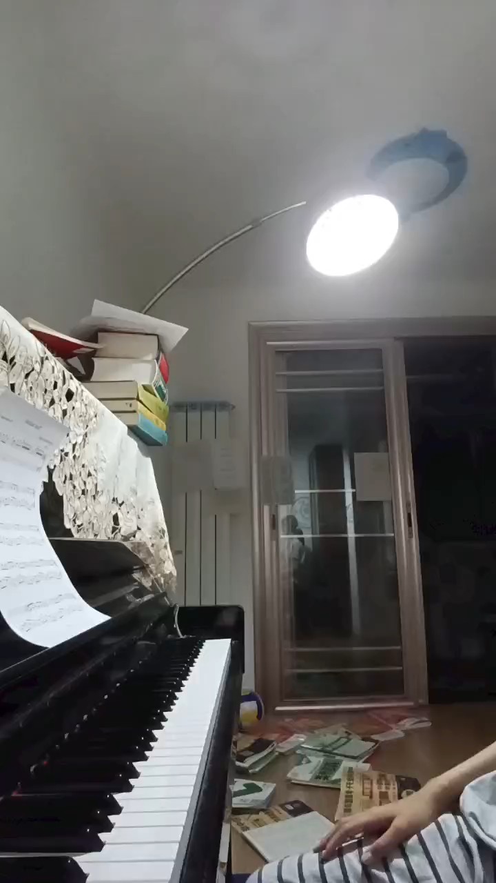 《葬花》第一个视频