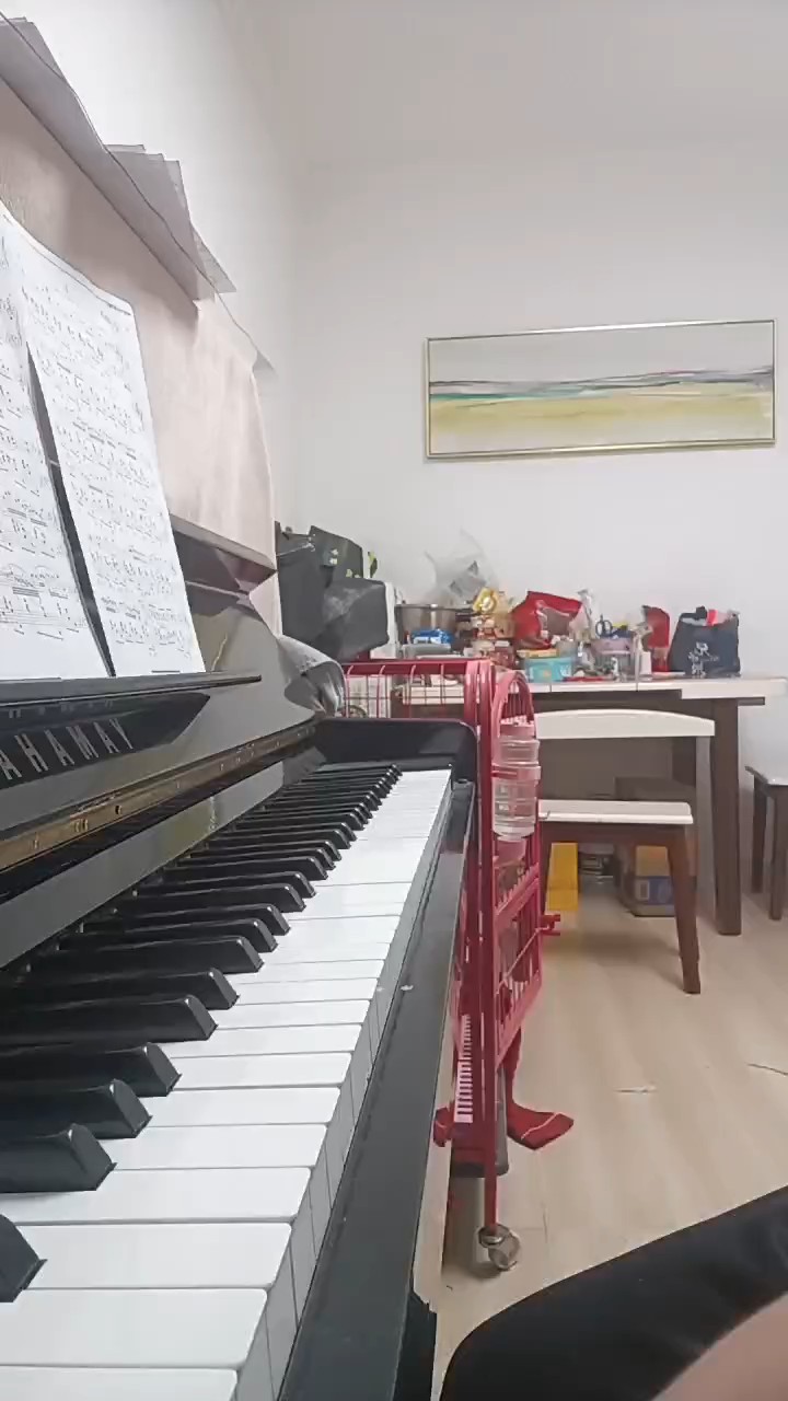 不熟勿喷，谢谢。只能录这么长😅