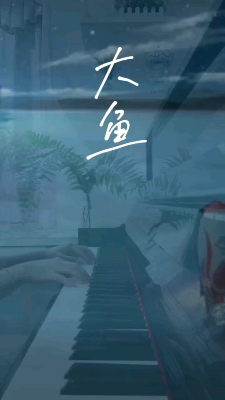 来自大鱼的治愈