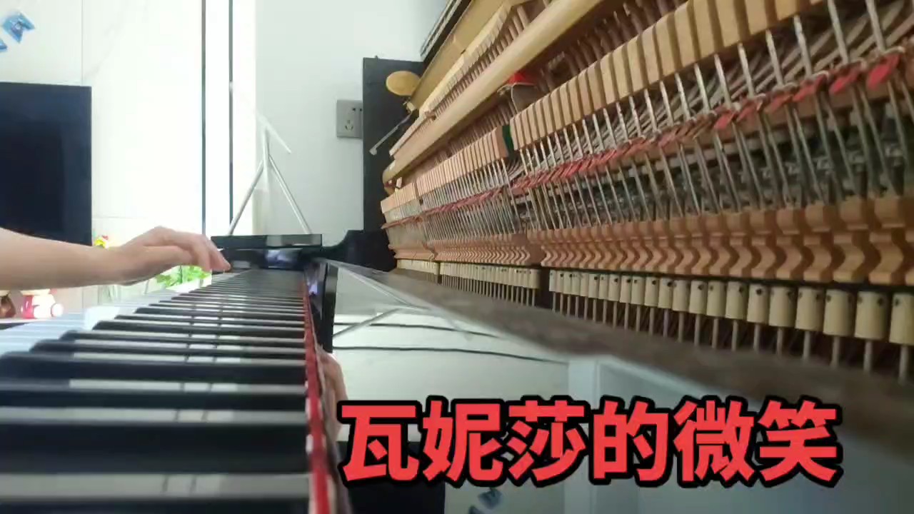 瓦妮莎的微笑