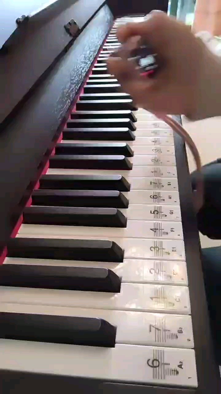 弹一首超治愈的《鱼》