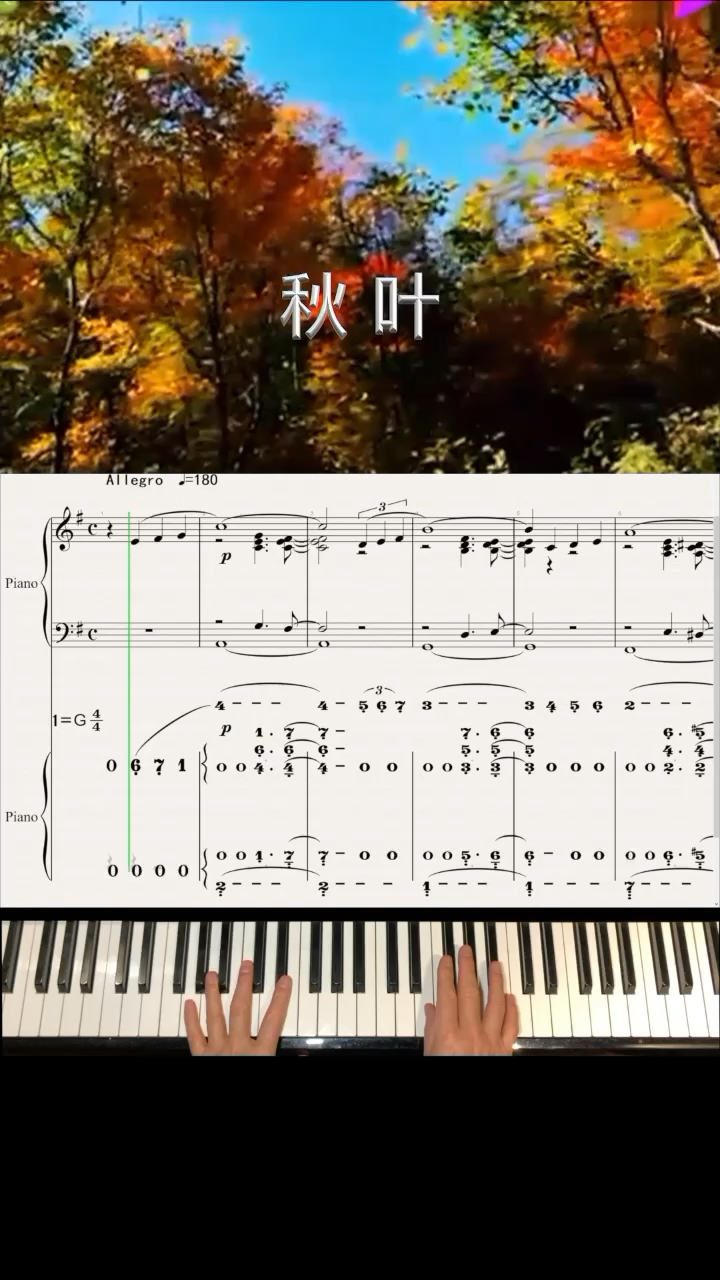 乐曲如诗般宁静，仿佛能看见露珠轻轻地滑落，秋叶随风飘舞，宁静却不寂寞，浪漫而又纯情！