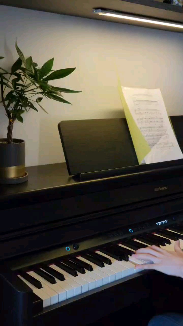 。。