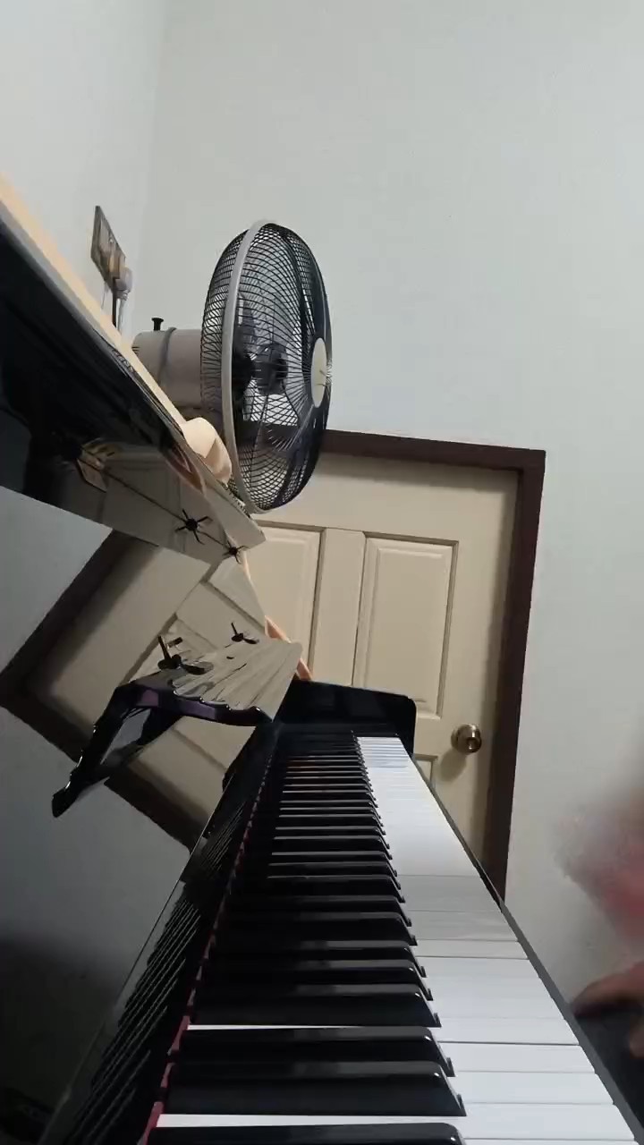 小小萌新，弹的不是很好ಠ_ರೃ థ౪థ