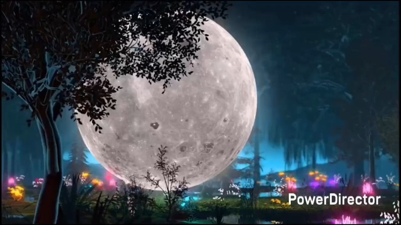 就愛tenor，什麼曲風都試試